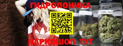 стаф Набережные Челны