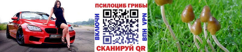 Псилоцибиновые грибы мухоморы  Балабаново 